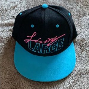 Carbon Elements Snapback